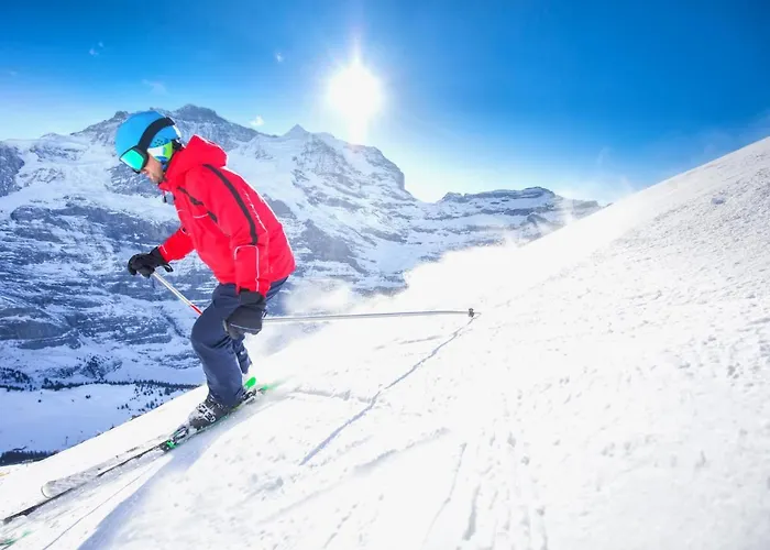 Allod Park Haus C 505 By Interhome Daire Ostrava